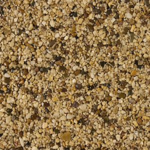 Autumn Dune